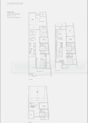 skies-miltonia photo thumbnail #9